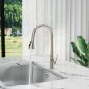 Single Handle Pull Down Sprayer Kitchen Faucet with Advanced Spray, Pull Out Spray Wand in Brushed Nickel